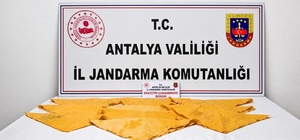 Alanya'da 1 kilo uyuşturucu madde ele geçirildi