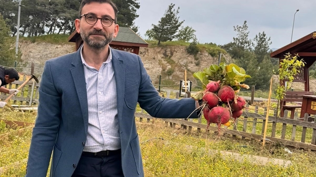 Burhaniye'de fakülte bahçesinde yetişen sebzeler hasat edildi