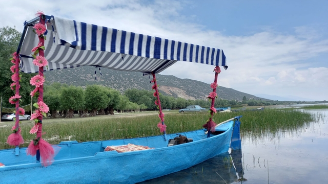 Işıklı Gölü'nde nilüfer çiçeği turları başladı