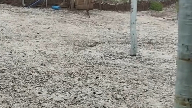 Amasya'da dolu yağışı