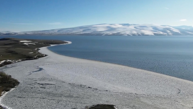 Galeri