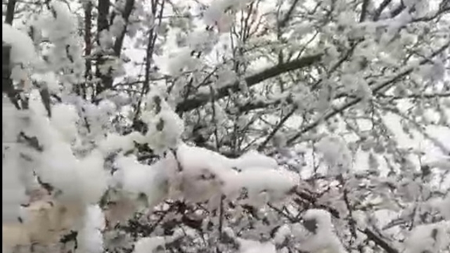 Sivas'ta yüksek kesimlere kar yağdı