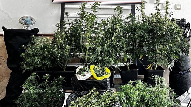 Osmangazi'de uyuşturucu operasyonu: 1 şüpheli tutuklandı