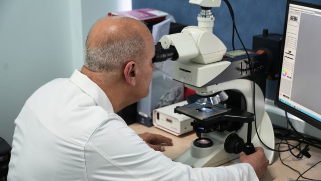 KBÜ'den Alzheımer ve benzeri hastalıklara umut ışığı
TÜBİTAK destekli çalışmada Trokserutin'in nöroprotektif etkileri ilk kez kapsamlı şekilde ortaya kondu