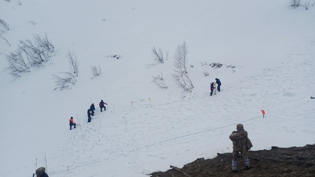 Artvin'de çığ altında kalan çoban için arama çalışması yeniden başlatıldı