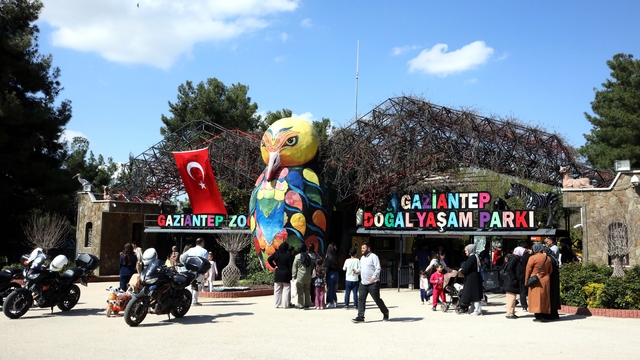 Galeri