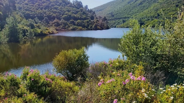 Doğaseverler Bahçecik Boğazı'na dikkat çekti
EKODOSD Başkanı Sürücü: "Bahçecik Boğazı tehdit altında"