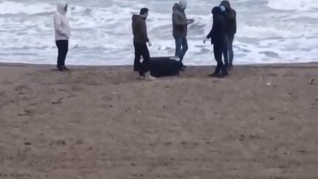 Sahile vuran çantadan 21,5 kilo uyuşturucu çıktı