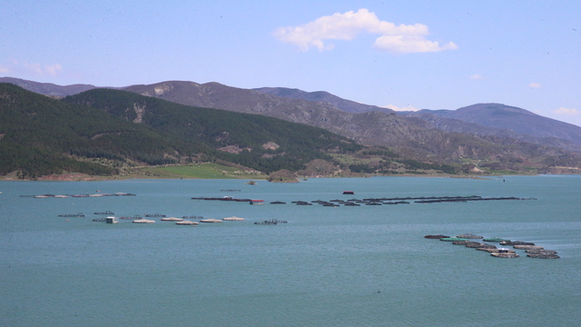 Almus Baraj Gölü'nde doluluk yüzde 82'ye ulaştı