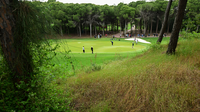 Antalya'da Turkish Airlines Open 2026 Golf Turnuvası devam ediyor