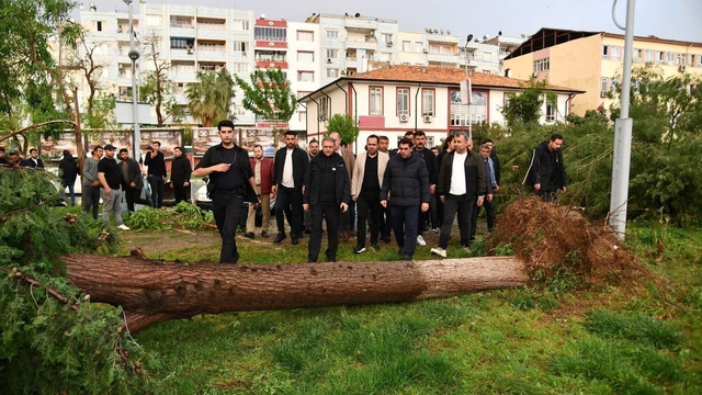 Fırtına sonrası vali, kaymakam ve belediye başkanı bölgede incelemede bulundu