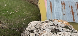 Ağrı'da heyelan evlerin çevresinde yarıklar oluşturdu