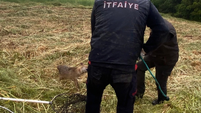 Osmaniye'de içme suyu kuyusuna düşen tilki kurtarıldı