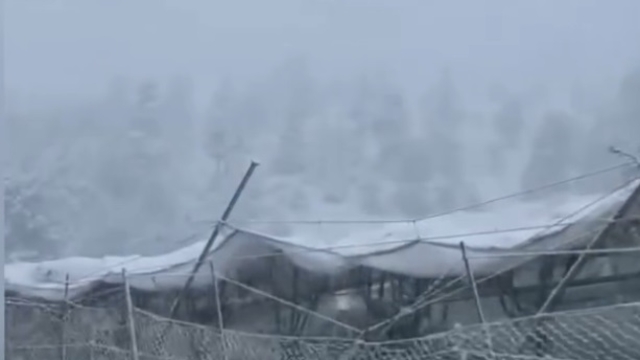 Galeri