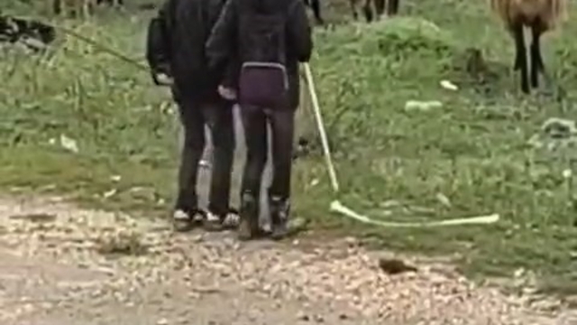 Elazığ'da minik çobanların sürü başında halayı