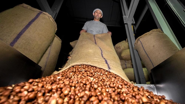 Doğu Karadeniz'den ilk 4 ayda 678 milyon dolarlık ihracat