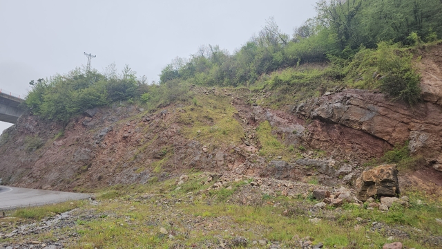 Galeri