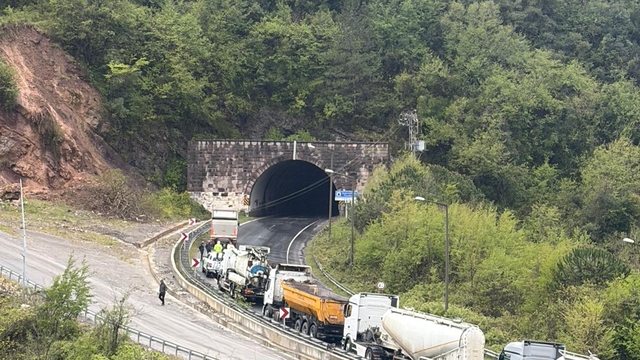 Heyelan nedeniyle kopan kaya ve dal parçaları elektrik hattını kopardı