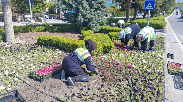 Beypazarı ilçesinde park ve refüjler çiçeklendirildi