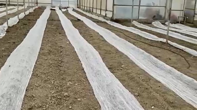 Don uyarısına karşı seracılardan tüllü önlem