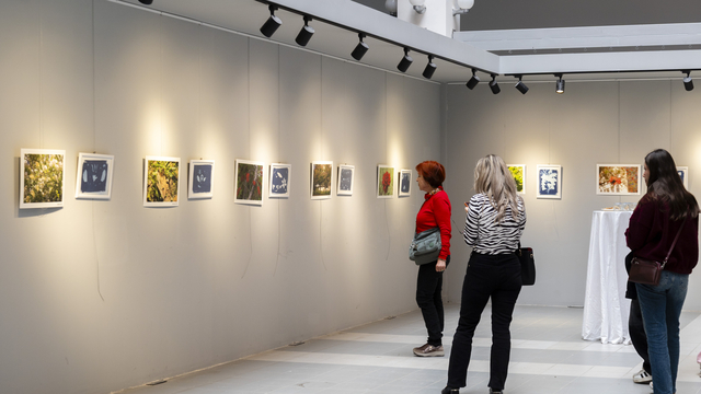 Galeri