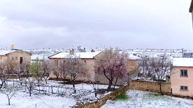 Galeri