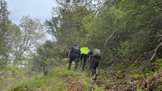 Galeri