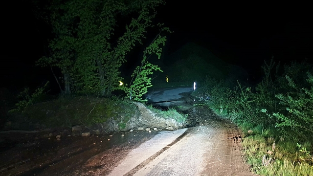 Bursa'da heyelan nedeniyle köy yoluna ağaçlar ve toprak yığınları düştü