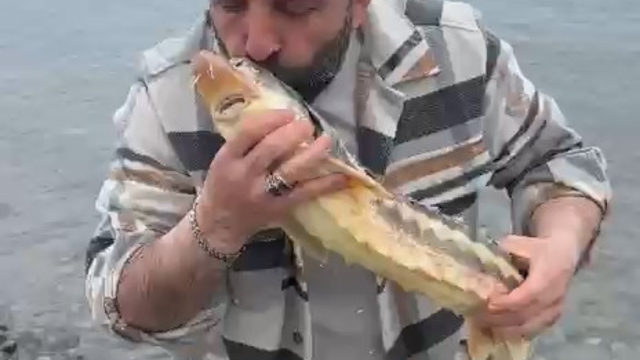 Satın aldığı balığı, canlı ve nesli tehlikedeki tür olduğunu görünce denize ulaştırdı