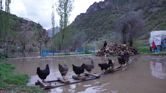 Şırnak'ta sel suları köprüleri yıktı, ev ve ahırlar sular altında kaldı