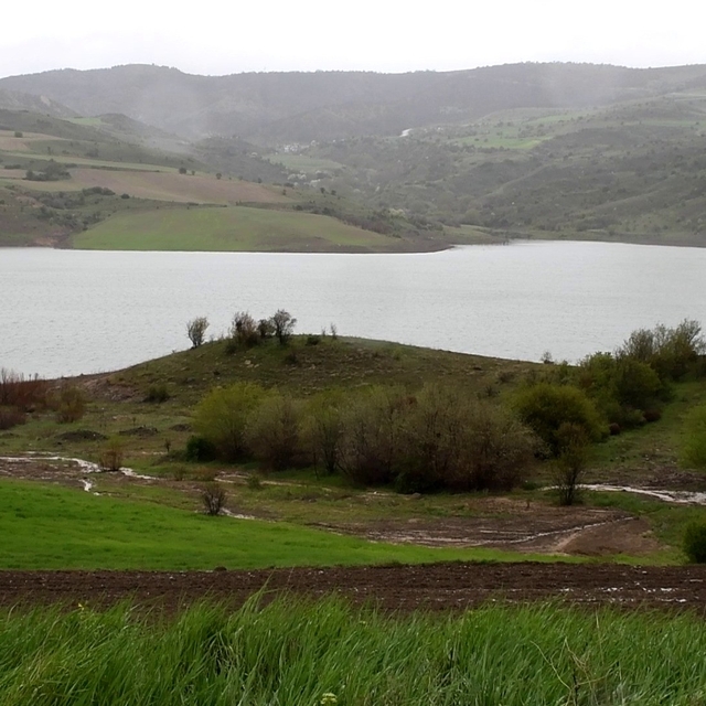 Yozgat'ta yağışların bilançosunu Başkan Arslan açıkladı
Çok şükür, su sıkın...