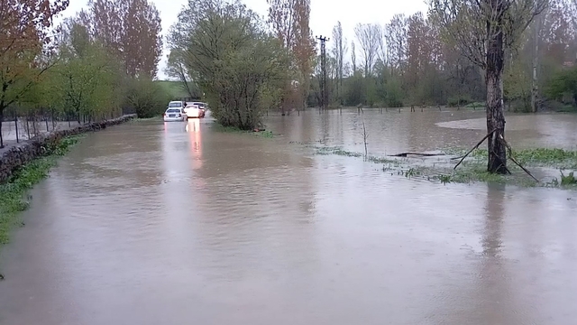 Tokat'ta Çekerek Irmağı taştı, yollar ve tarlalar sular altında kaldı