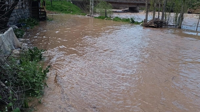 Şırnak'ta Habur Çayı taştı, ev ve ahırları su bastı