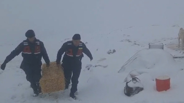Jandarmadan karda mahsur kalan hayvanlar için saman balyası