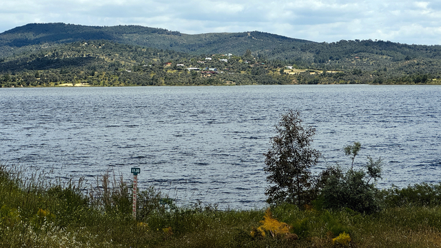 Galeri