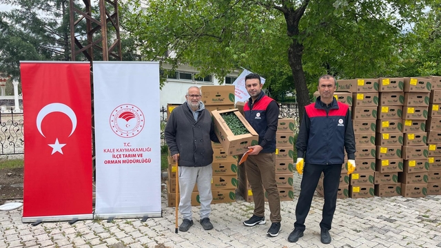 Kale'de çiftçilere sebze fidesi dağıtıldı