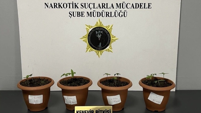 Samsun'da uyuşturucu operasyonu: 4 gözaltı