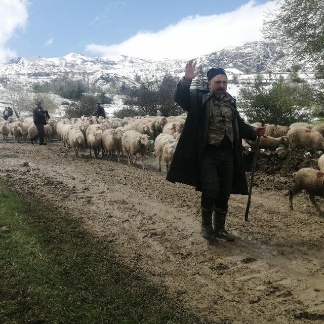 Isparta'da yaylada mahsur kalan çobanlar 30 saat sonra kurtarıldı
Kurtarıla...