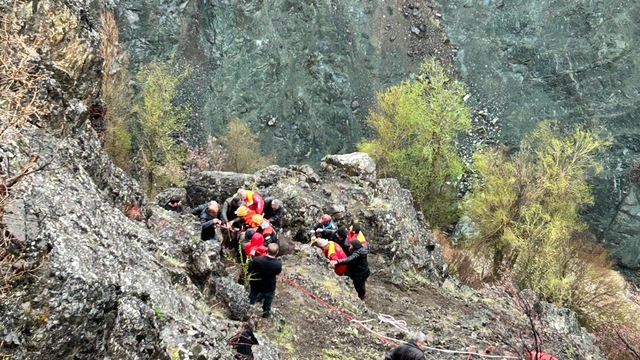 Galeri