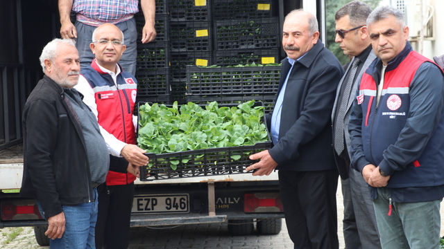 Siirt'te üreticilere yüzde 75 hibe ile 60 bin sebze fidesi dağıtıldı