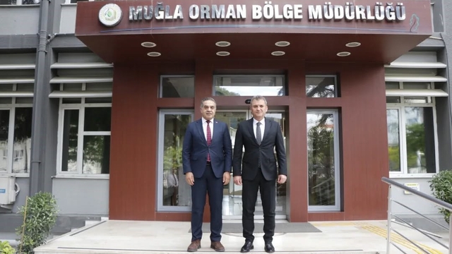 Aydın'da kestane ağaçları biyolojik mücadele ile korunuyor