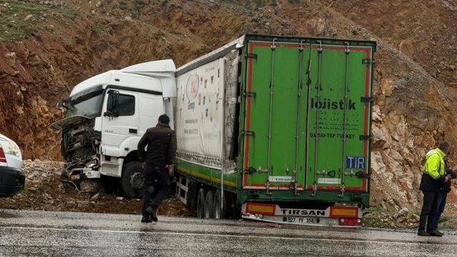 Malatya'da yoldan çıkan tırın sürücüsü yaralandı