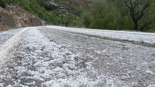 Çayırlı'da dolu yağışı etkili oldu