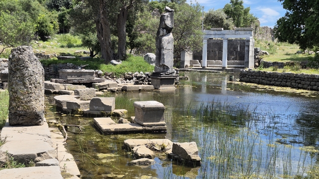 Galeri