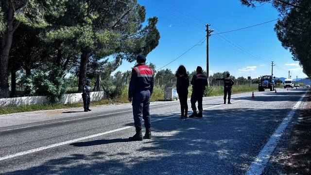 Didim'de kurbanlık denetimi