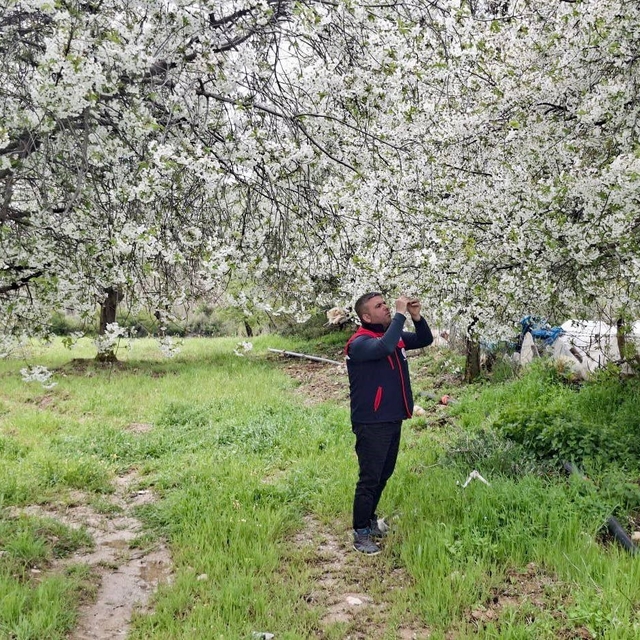 Zirai don uyarısı yapılan bölgelerde hasar tespit çalışması yapıldı