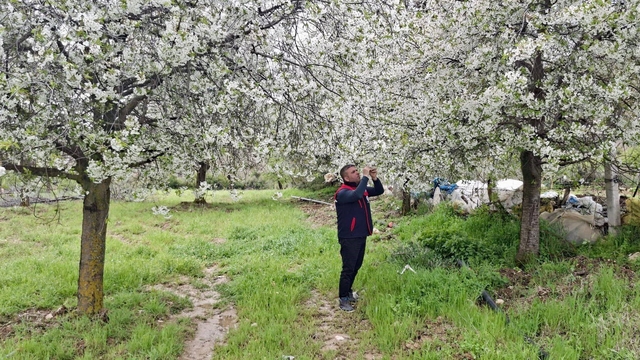 Zirai don uyarısı yapılan bölgelerde hasar tespit çalışması yapıldı