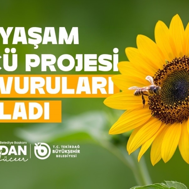 Tekirdağ'da arıcılara yem desteği başvuruları başladı