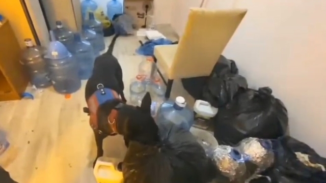 Kuşadası'nda 22 kilogram uyuşturucu ele geçirildi