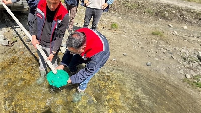 Yığılca'da derelere 50 bin kırmızı benekli alabalık yavrusu bırakıldı